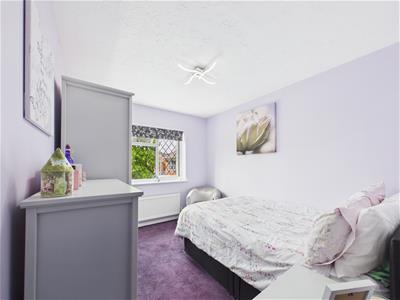 Picture 11